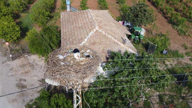 Drone görüntüleri şok etti Leylekler yuvalarını çöplerle kurdu