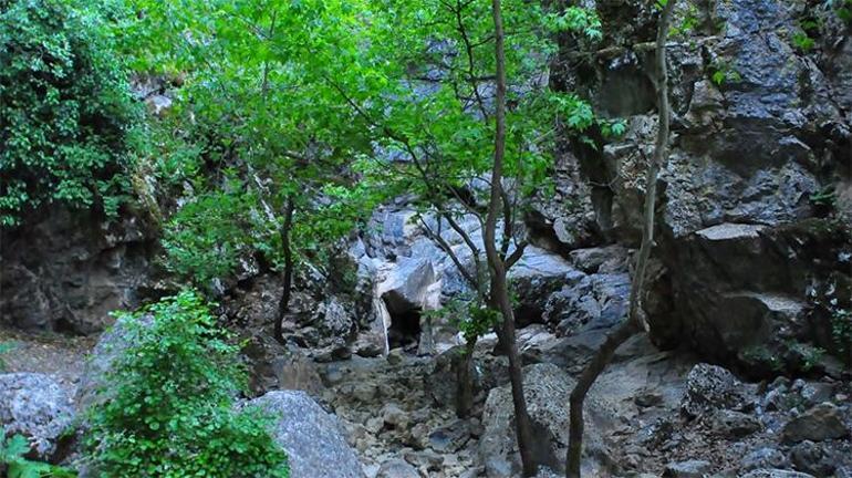 Keşfedilmemiş saklı cennet olarak biliniyor Manisanın saklı kanyonu kurudu