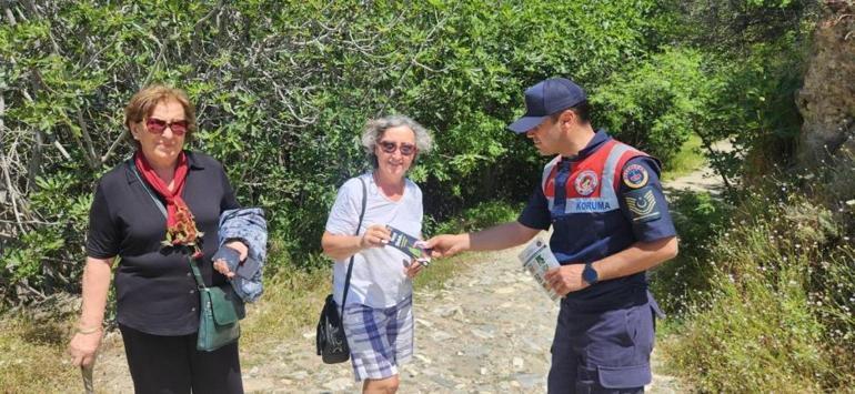 Dünyada sadece Aydında yetişiyor: Koparmanın cezası 557 bin lira