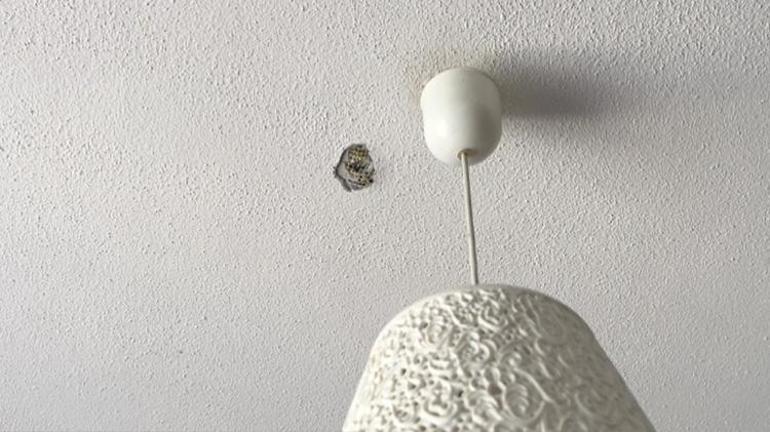 Bunu yapan düşmanı değil öz kardeşi Babadan kalan mirası hiltiyle deldi