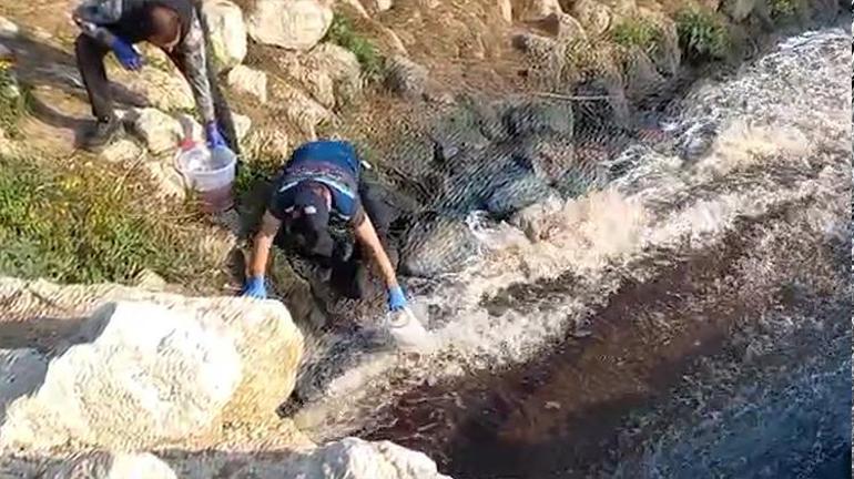 Ceyhan Nehri’ndeki kirliliğe 10 milyon TL ceza Bakanlık, 5’i büyükşehir belediyesine ait 11 tesise ceza uyguladı