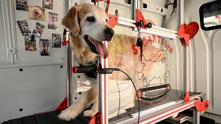Vefat eden köpeğinin anısına, özel tasarım koşu bandıyla patili dostlarına destek oluyor