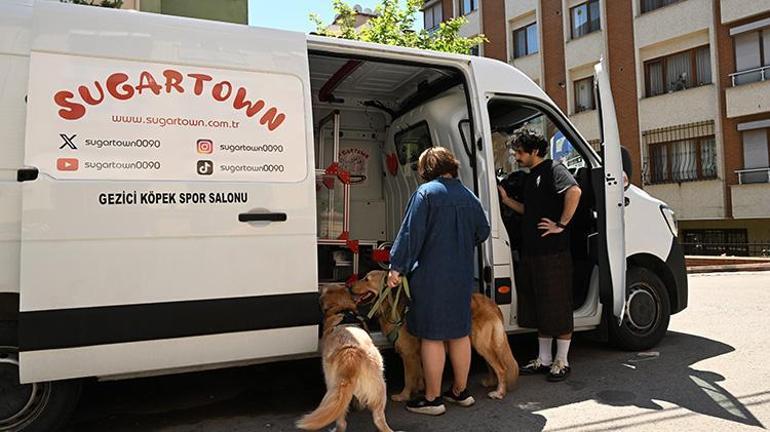 Vefat eden köpeğinin anısına, özel tasarım koşu bandıyla patili dostlarına destek oluyor