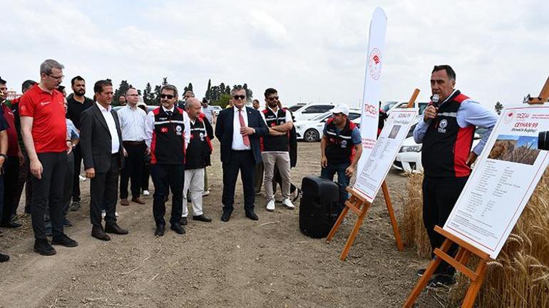 Adanada tarıma güçlü destek: 8 çeşit tohum tarımsal üretime kazandırılacak