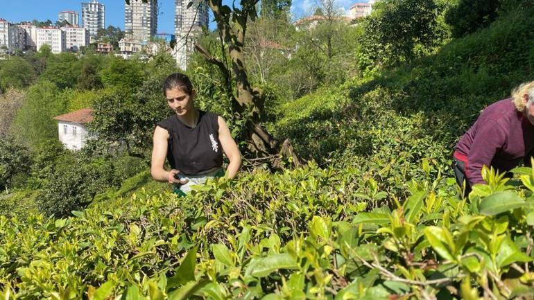 Artvinde çay bahçesinde çalıştı, şimdi Avrupa şampiyonu oldu