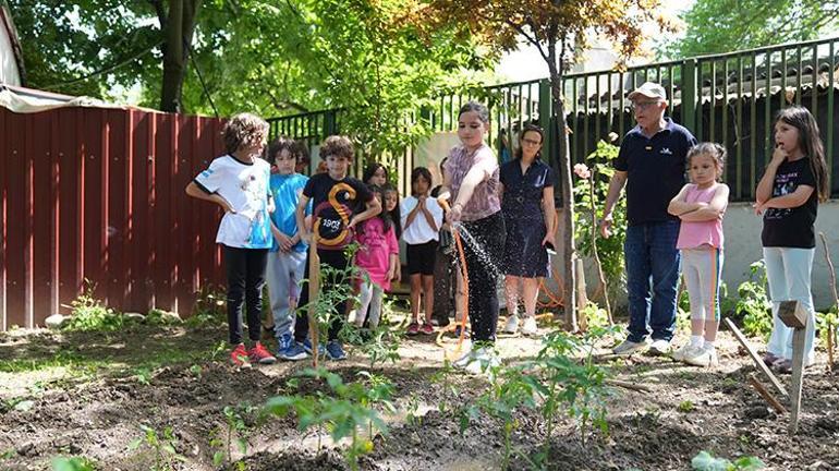 Okul müdürü sınırları yıktı okulda bir ilke imza attı Öğrenciler hayatlarında ilk defa tavuk gördü, doğal yumurta ile tanıştı