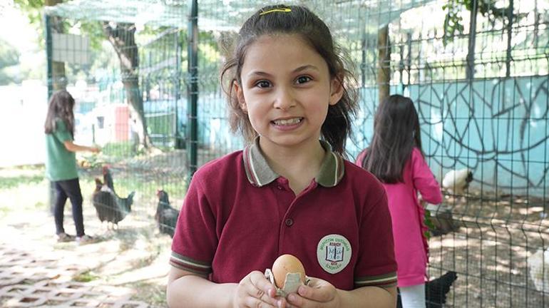 Okul müdürü sınırları yıktı okulda bir ilke imza attı Öğrenciler hayatlarında ilk defa tavuk gördü, doğal yumurta ile tanıştı