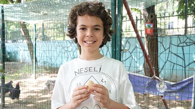 Okul müdürü sınırları yıktı okulda bir ilke imza attı Öğrenciler hayatlarında ilk defa tavuk gördü, doğal yumurta ile tanıştı