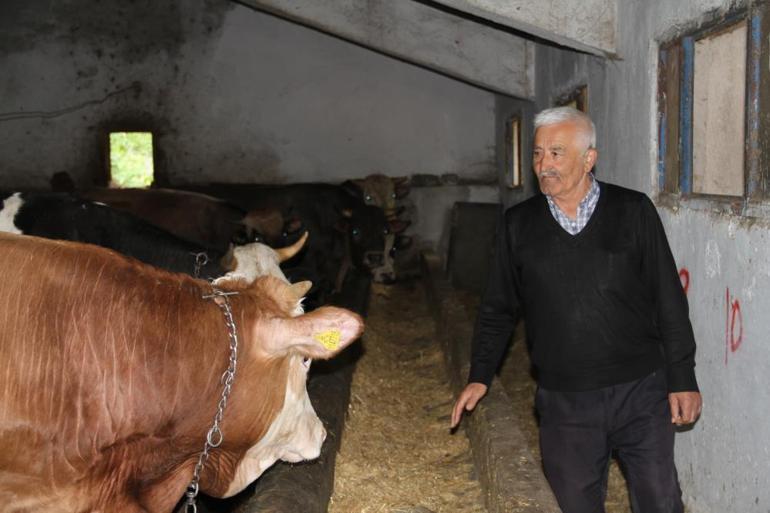 Kurban Bayramı heyecanı vatandaşları sardı Başkentliler uygun fiyatlı kurbanlık alımında bu ile gidiyor