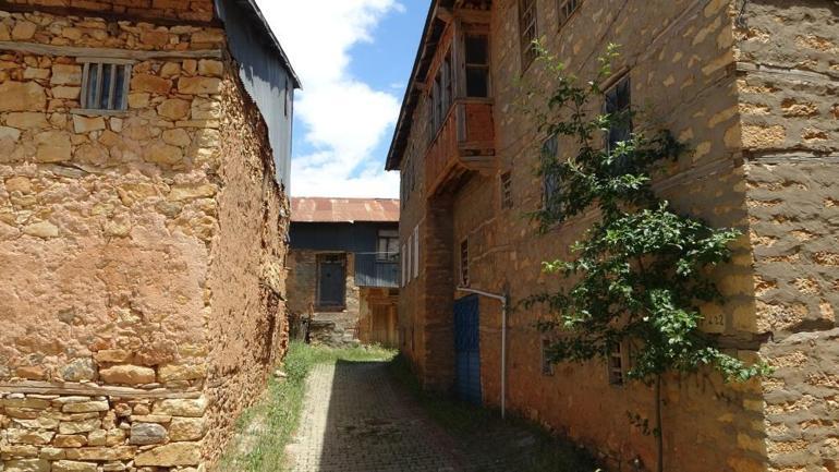 Malatya Arapgirde tam 500 yıllık tarih koruma altında Sayısı bilinmiyor, kültür mirasına katkı sağlayacak