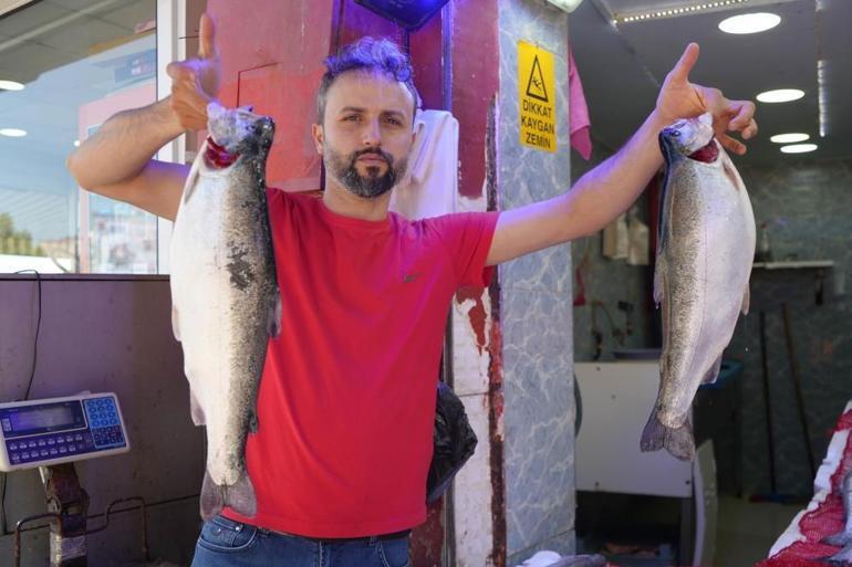 Samsunda en çok tercih edilen balık belli oldu