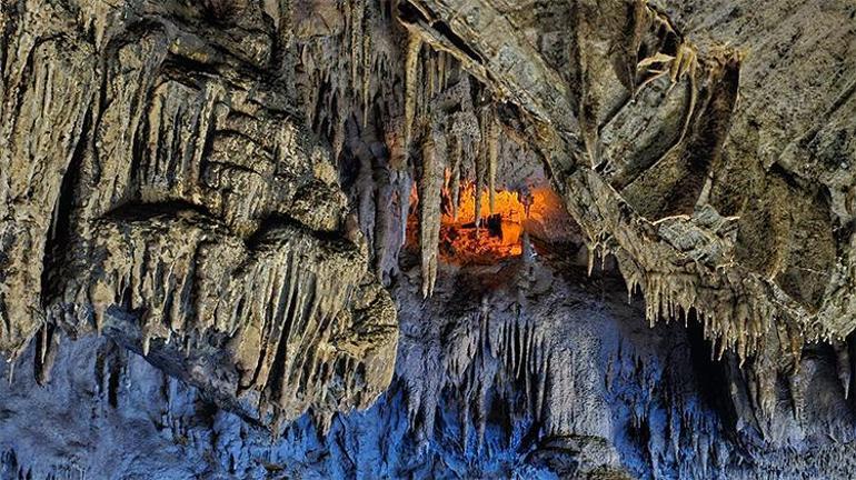 Zonguldakta bulunuyor Tam 350 milyon yıllık Büyük ilgi görüyor