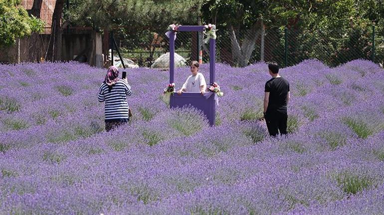 Tekirdağda hasat vakti değil ziyaret vakti geldi Kurban Bayramında ziyaretçi akını