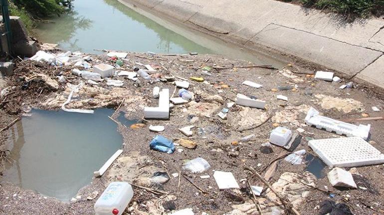 Adanada kurban atıkları kanallara atıldı Uzman isim çiftçileri uyardı