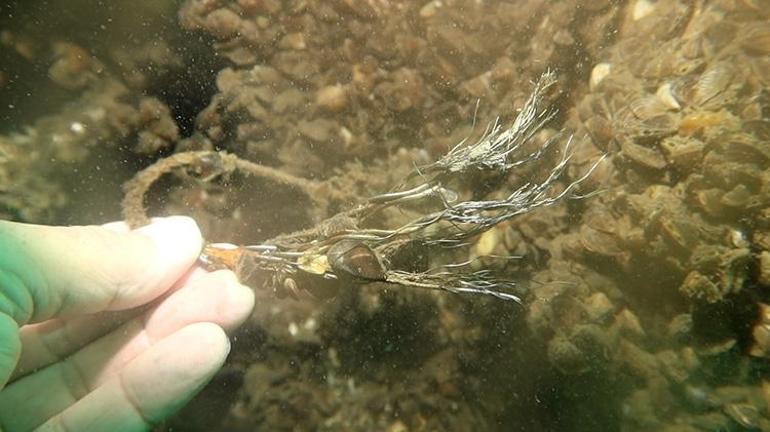 Sapanca Gölünün derinliklerinde 53 yıllık sır perdesi aralandı: Foto keşif uçağının enkazı gün yüzüne çıktı
