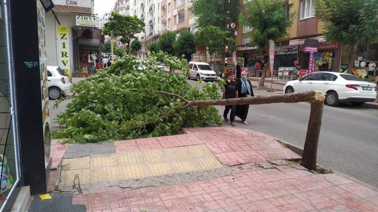 Şiddetli rüzgar her yeri savaş alanına çevirdi Otobüs durağı yıkıldı, ağaçlar devrildi, çatılar uçtu