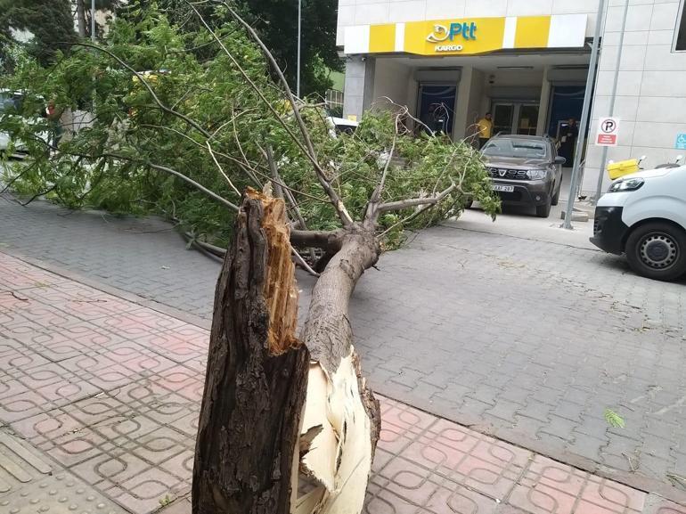 Şiddetli rüzgar her yeri savaş alanına çevirdi Otobüs durağı yıkıldı, ağaçlar devrildi, çatılar uçtu