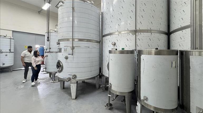 Kadın girişimci eşinin memleketinde fabrika kurdu 200 ton üretiyor, 81 ile satış yapıyor