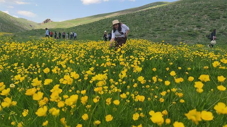 Vandaki doğa harikası kanyon sarıya boyandı, keşfedilmeyi bekliyor