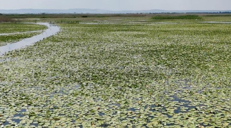 Köylü hazine üzerinde geziyor Şehir merkezine 120 km uzakta bulundu: Turist akını var:
