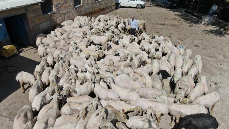 Sivasta çetin geçen kışın ardından yapılıyor Beyaz altın olarak biliniyor, dakikalar içinde hazırlanıyor