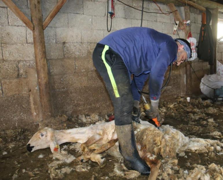 Sivasta çetin geçen kışın ardından yapılıyor Beyaz altın olarak biliniyor, dakikalar içinde hazırlanıyor