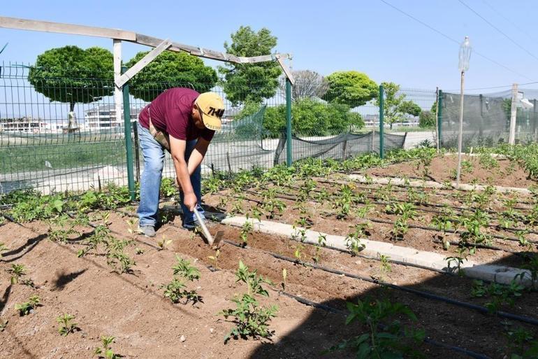 Eskişehirde herkes bu işin peşinde Emeklisi engellisi yetiştirip satıyor: Enerji depoluyor