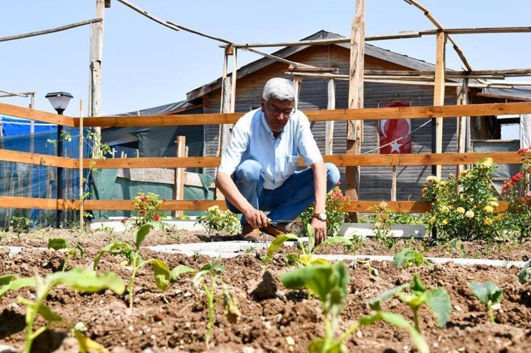 Eskişehirde herkes bu işin peşinde Emeklisi engellisi yetiştirip satıyor: Enerji depoluyor