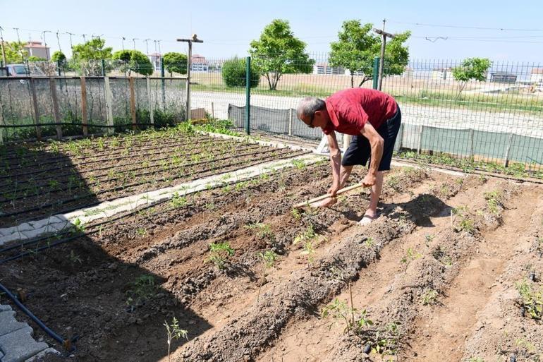 Eskişehirde herkes bu işin peşinde Emeklisi engellisi yetiştirip satıyor: Enerji depoluyor