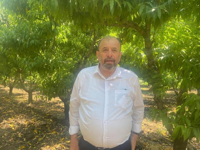 Bursada ilk hasat başladı, kötü haberi şimdiden verdiler: Bu yaz pahalıya tüketeceğiz