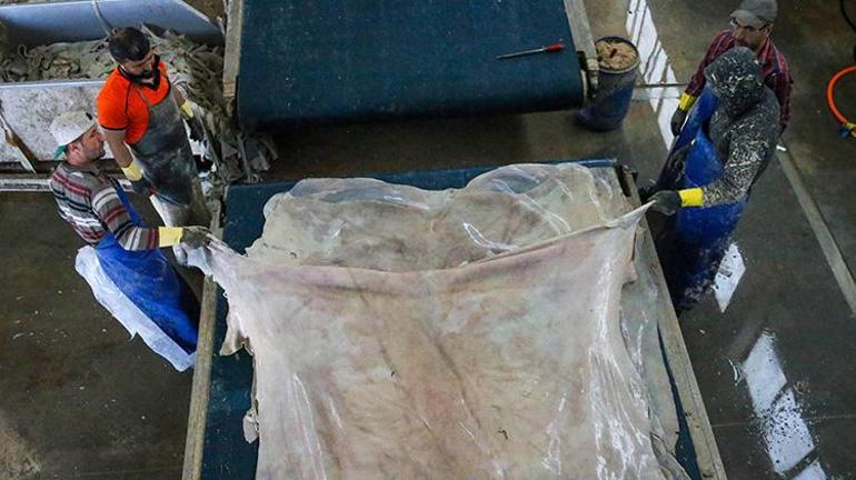 Dünya genelinde yaşanan iklim değişikliği deri kıyafetlere olan ilgiyi azalttı