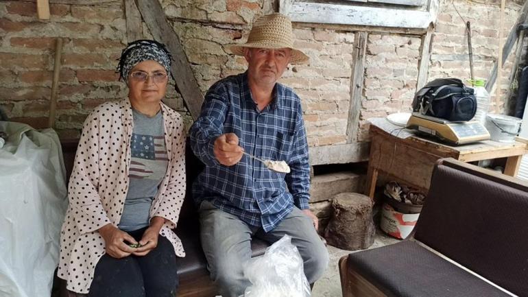 İstanbuldan köylerine döndüler, 3 dönüm araziden servet kazanıyorlar Borçla başladım, 3 aileyi geçindiriyorum