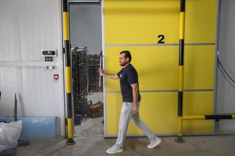 Bursada elektriğe para vermeden 1 milyon adet üretiyor 250 dönüme çıktı: Enerjiyi dağıtım firmasına satıyor