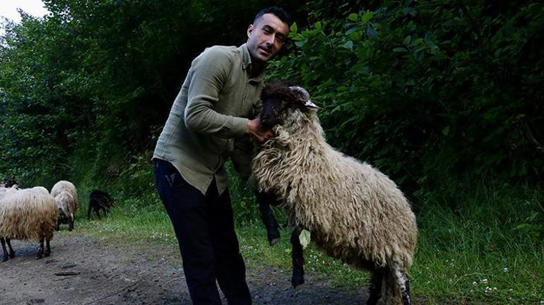 Trabzonda sıra dışı kurtarma operasyonu: Bacağı kırılan kuzuyu kesmek yerine platin takıldı