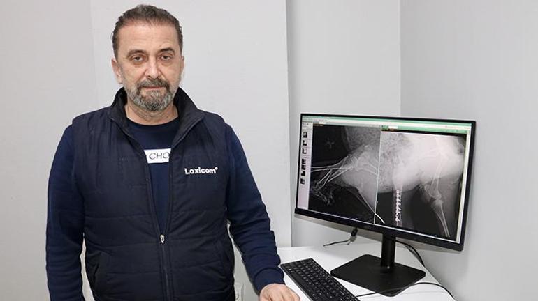 Trabzonda sıra dışı kurtarma operasyonu: Bacağı kırılan kuzuyu kesmek yerine platin takıldı