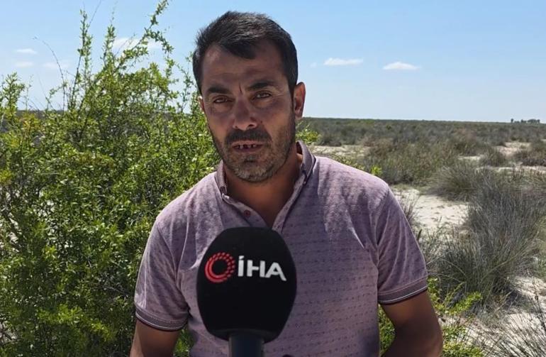 Tuz Gölünde korkunç görüntü Yüzlercesi ölü olarak bulundu