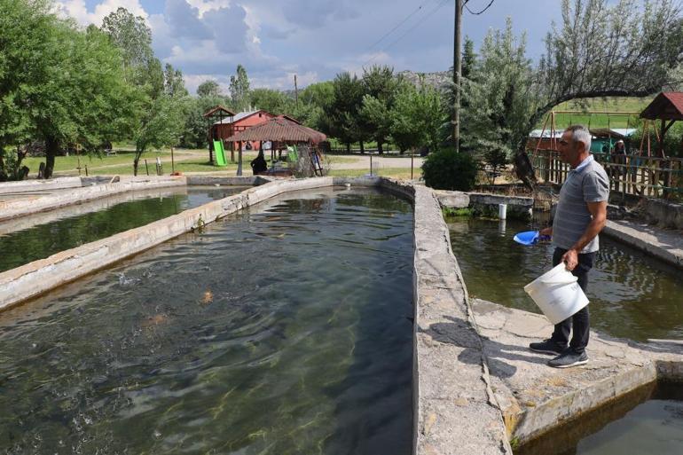 Denize kıyısı yok ama ürettikleri balıklar dünyaya pazarlanıyor