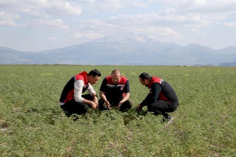 Sadece sanayi değil tarımda da birinci Türkiyede 4 ürün o şehrin elinden geçiyor