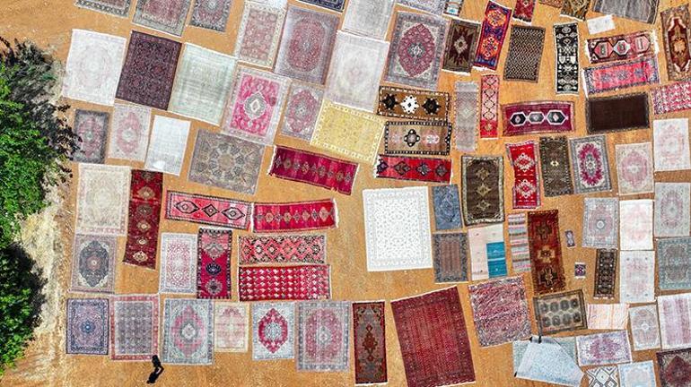 Antalyada hasat bitti halılar serildi Halı tarlaları aylarca böyle kalacak