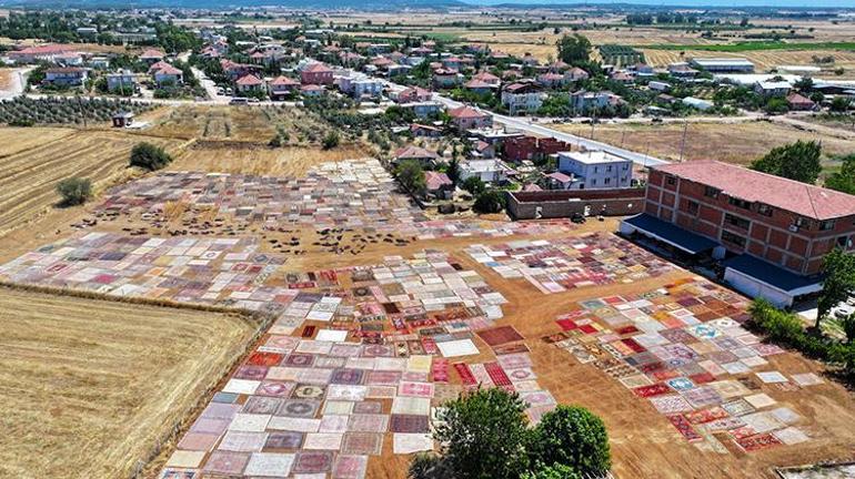 Antalyada hasat bitti halılar serildi Halı tarlaları aylarca böyle kalacak