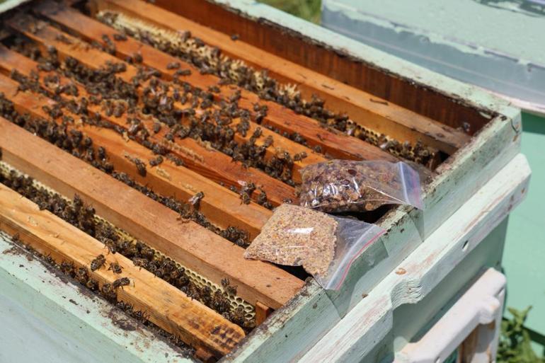 Herkes bunu bilmiyor Geçmişte çöpe gidiyordu, şimdi kilosu 3 bin TL’den satılıyor