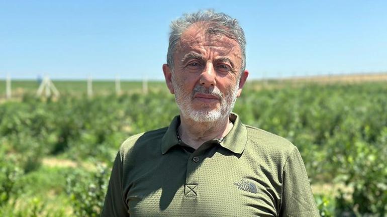 Edirneye taşındı, arazi satın alıp üretime başladı Şimdi hasat başladı; Çiftçiye en iyi gelir getiren ürün