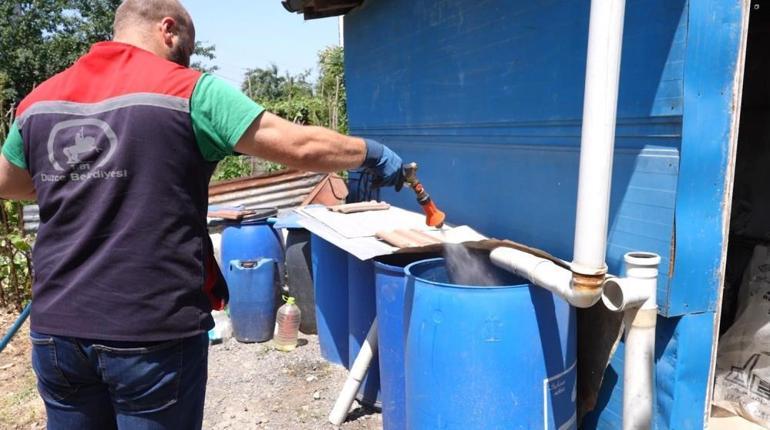 Yazın gelmesiyle tavan yaptı Düzcede sivrisinek uyarısı: 1 bardak su yeterli