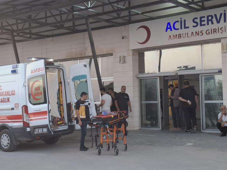 ‘Boşandığım eşime nasıl yardım edersin’ cinayeti Diyarbakırda muhtarın kardeşi itiraf etti