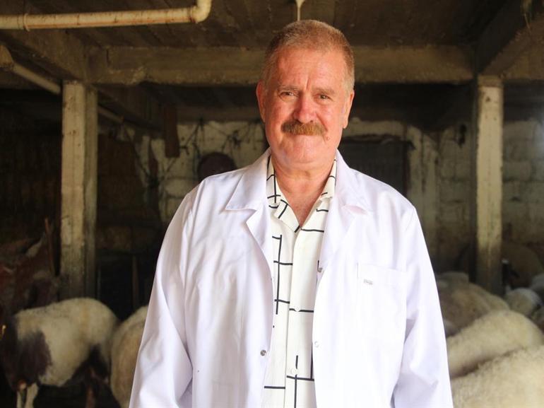 Yaz geldi, kene tehlikesi arttı Sakın çıplak elle dokunmayın Bu detayları bilmiyorsanız çok geç olabilir