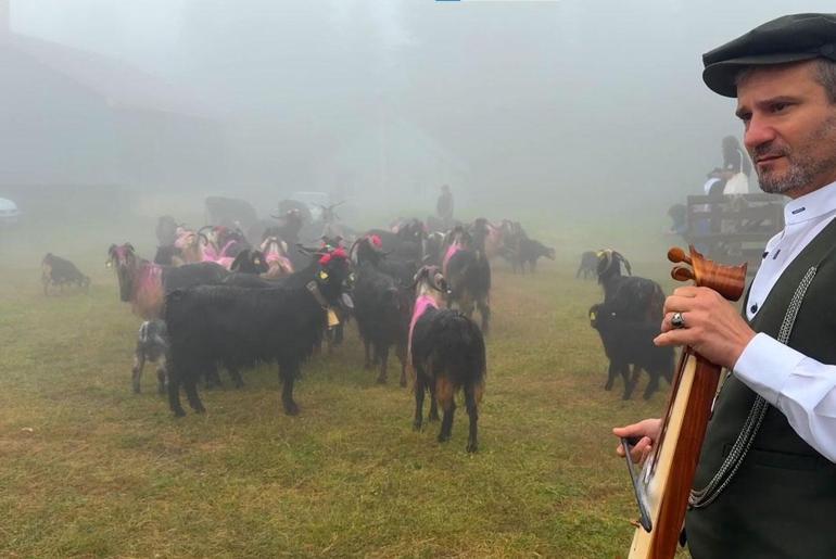 Sakaryada yaylalara göç başladı Rengarenk görüntüler ortaya çıktı