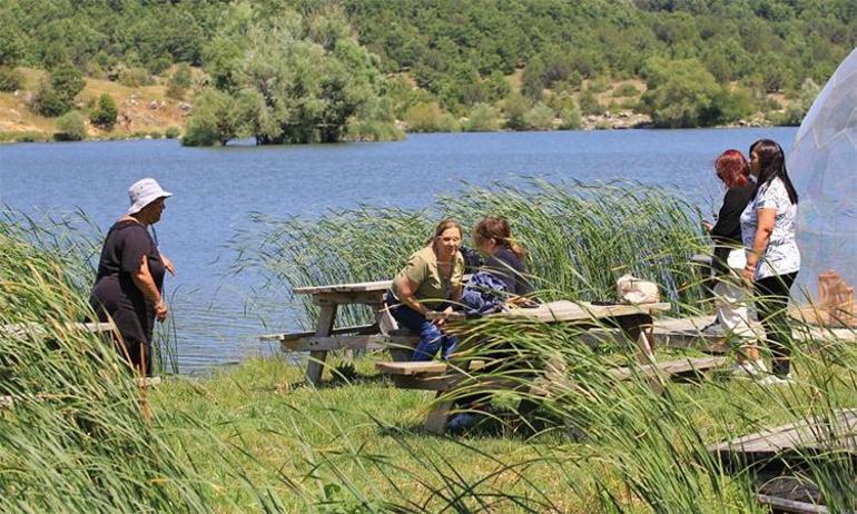 Bilgisayar mühendisliğini bıraktı, babaannesinin tarlasına tesis kurdu Şimdi paraya para demiyor