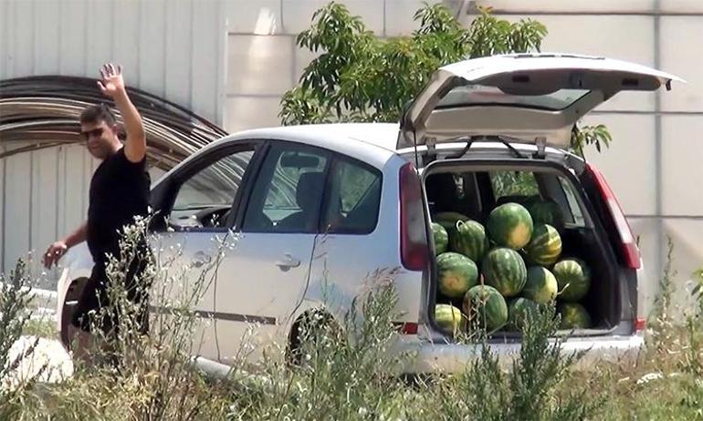 Satamayınca tarladaki karpuzları vatandaşa ücretsiz dağıttı