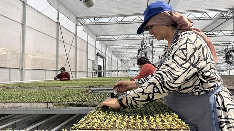 Zonguldaka dev sera projesi Binlerce vatandaş istihdam edilecek