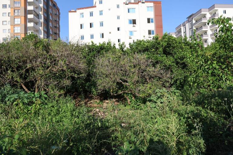 Adana Kozanda skandal çevre katliamı Atık suların Kilgen Çayına akıtıldığı ortaya çıktı Mahalleli isyanda